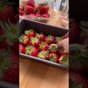 Strawberry Daiquiri Bites | Food Network